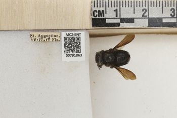 Media type: image;   Entomology 791863 Aspect: Labels